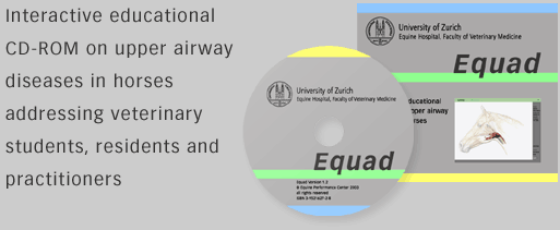 Equad - interactive educational CD-ROM on upper airway diseases in horses, addressed to veterinary students, residents and practitioners